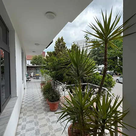 Demms * Tirana